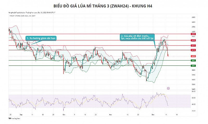 Đà tăng của giá ngô có thể sẽ bị hạn chế ở kháng cự 495