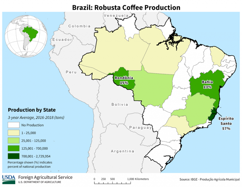 Thời tiết có thể gây thiệt hại lớn với sản lượng cà phê Robusta tại Brazil