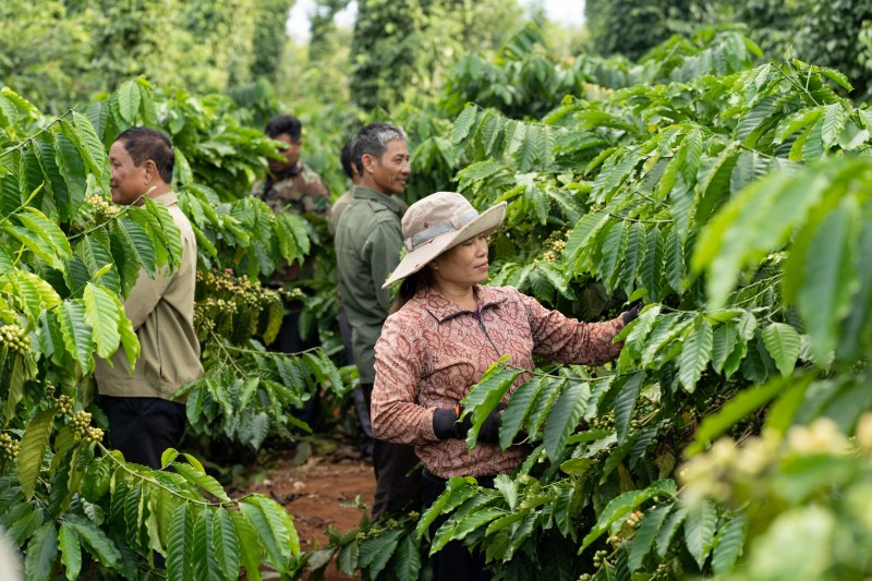 Nestlé Việt Nam tiếp tục dẫn đầu trong Top 100 doanh nghiệp bền vững năm 2023