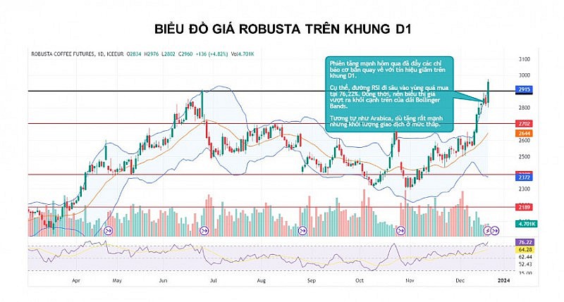 Giá ngô có khả năng sẽ tiếp tục chịu sức ép trong ngắn hạn