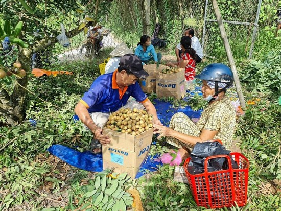 An Giang: Phát triển kinh tế - xã hội vùng đồng bào dân tộc thiểu số