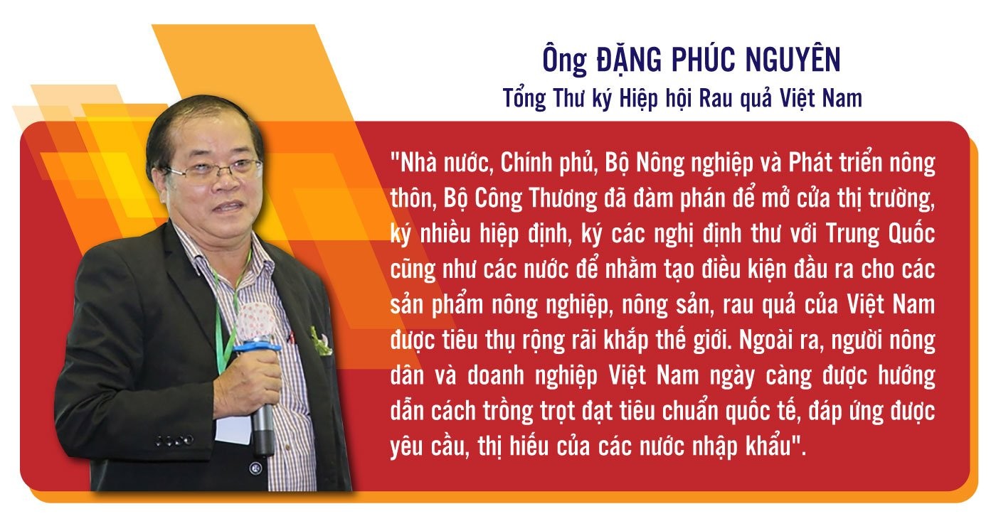 Longform | Thấy gì từ con số xuất siêu kỷ lục của năm 2023?