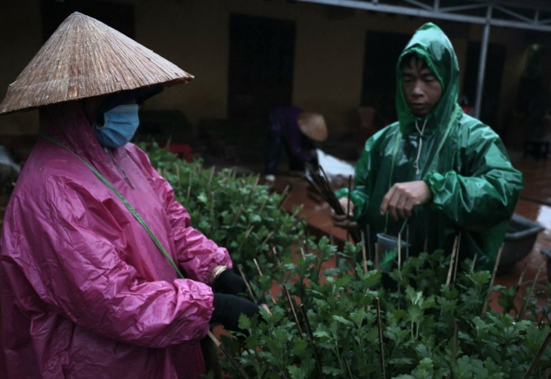 Làng hoa lớn nhất Thừa Thiên Huế: tất bật chuẩn bị phục vụ Tết