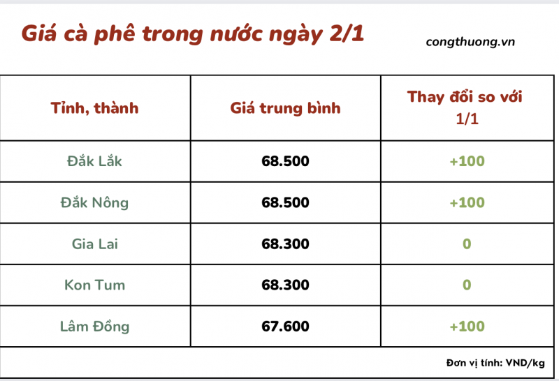 Giá cà phê 3/1, giá cà phê trong nước ngày 3/1/2024