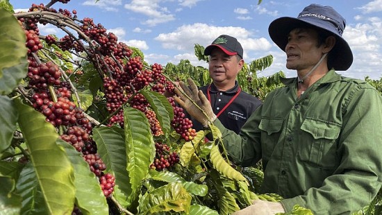 Ngày này năm xưa 5/1: Ban hành quy chế quản lý Hội, Hiệp hội ngành công nghiệp