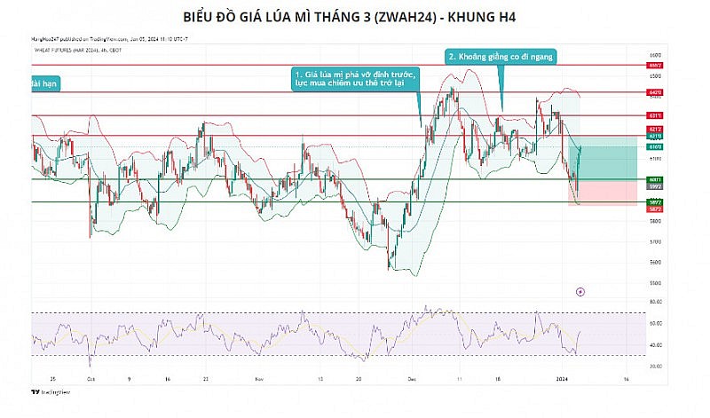 Tín hiệu khiến giá đậu tương có thể chịu sức ép suy giảm