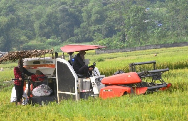 Đồng bào dân tộc thiểu số ở Hòa Bình tăng thu nhập nhờ cơ giới hóa sản xuất