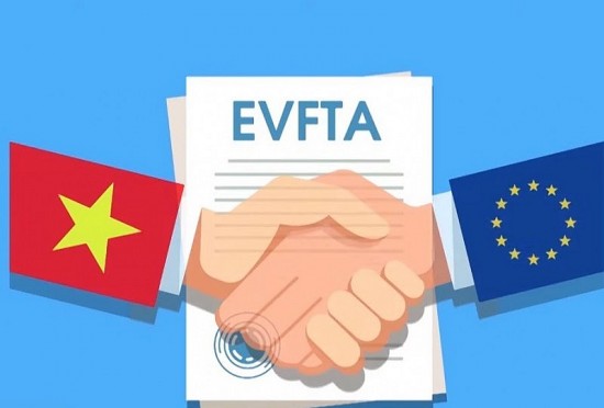 eurocham tiem nang cua hiep dinh evfta duoc doanh nghiep chu y hon