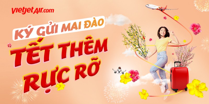 Dịch vụ vận chuyển mai, đào của Vietjet mang Xuân đến mọi nhà