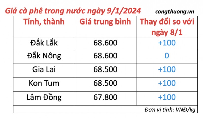 Giá cà phê hôm nay, ngày 9/1/2024: Giá cà phê trong nước tăng nhẹ