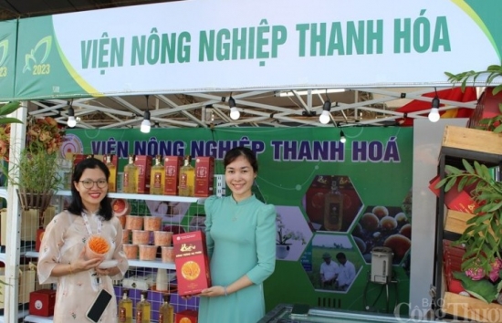 Thanh Hóa: Sẽ tổ chức 100 gian hàng nông sản, sản phẩm OCOP phục vụ nhân dân dịp Tết Nguyên đán