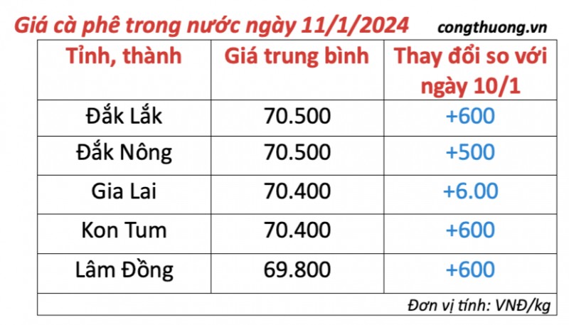 Giá cà phê hôm nay, ngày 11/1/2024: Giá cà phê trong nước