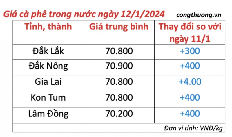 Giá cà phê hôm nay, ngày 12/1/2024: Giá cà phê trong nước lập đỉnh mới áp sát 80.000 đồng/kg