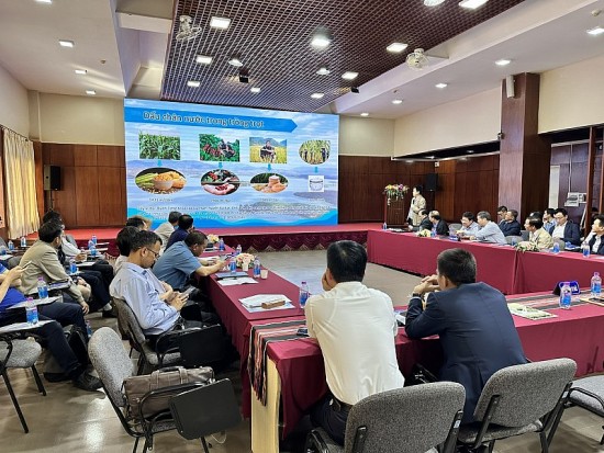 tai nguyen nuoc khoang nuoc nong o tay nguyen chua duoc khai thac dung tiem nang