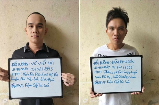 quang nam bat doi tuong trom hon 100 goc sam ngoc linh