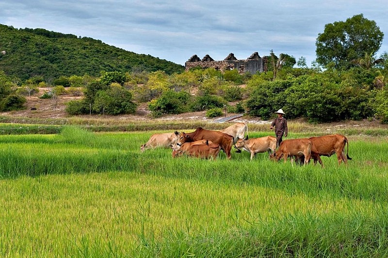 Bật mí điểm đến “định mệnh” cho 12 con giáp trong năm Giáp Thìn 2024