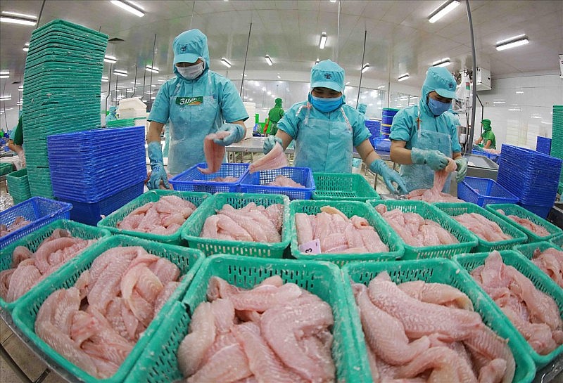 Sau năm 5, dư địa thị trường Hiệp định CPTPP đối với hàng hóa xuất khẩu Việt Nam còn rất lớn
