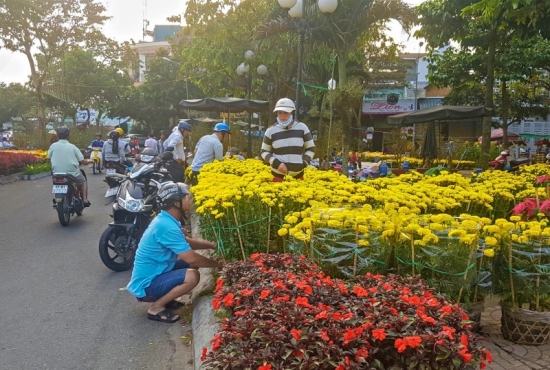 TP. Cần Thơ: Miễn phí tiền thuê mặt bằng cho tiểu thương buôn bán tại Chợ hoa Tết