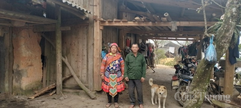 Gương sáng người Mông với quyết tâm thoát nghèo, vượt khó