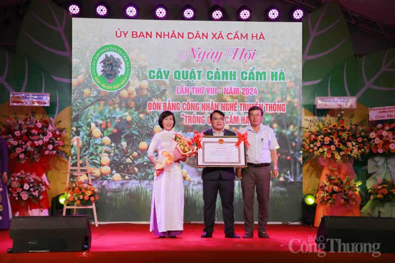 Chiêm ngưỡng những cây quật thế độc đáo tại “thủ phủ” quật miền Trung Chiêm ngưỡng những cây quật thế độc đáo tại “thủ phủ” quật miền Trung
