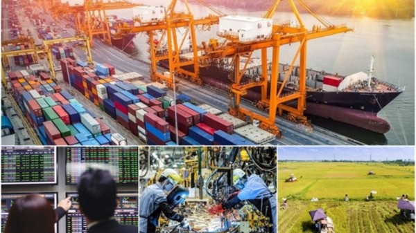 Phân tích thay đổi cấu trúc GDP của Việt Nam