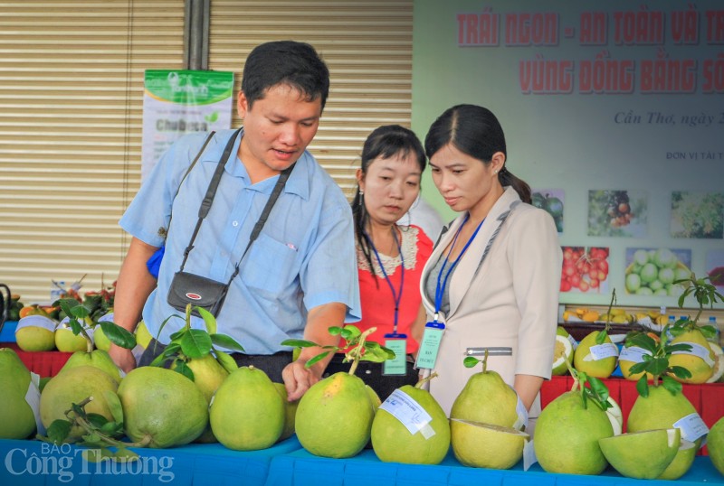 Vĩnh Long: Vụ Tết đìu hiu ở xứ sở bưởi Năm Roi Vĩnh Long: Vụ Tết đìu hiu ở xứ sở bưởi Năm Roi