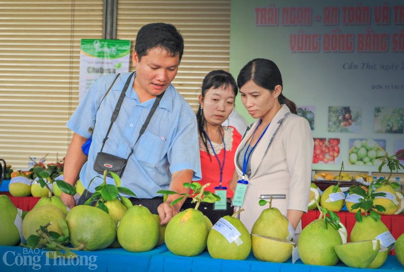 Vĩnh Long: Vụ Tết đìu hiu ở xứ sở bưởi Năm Roi