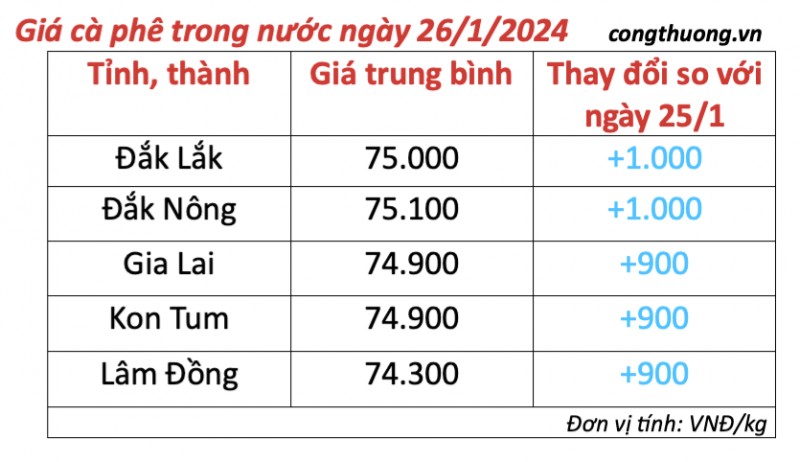 Giá cà phê hôm nay, 26/1/2024: Giá cà phê trong nước