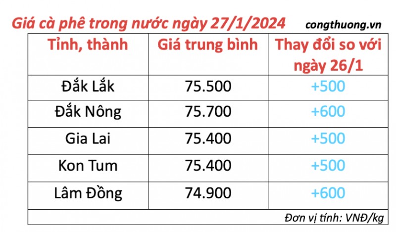 Giá cà phê hôm nay, 27/1/2024: Giá cà phê trong nước