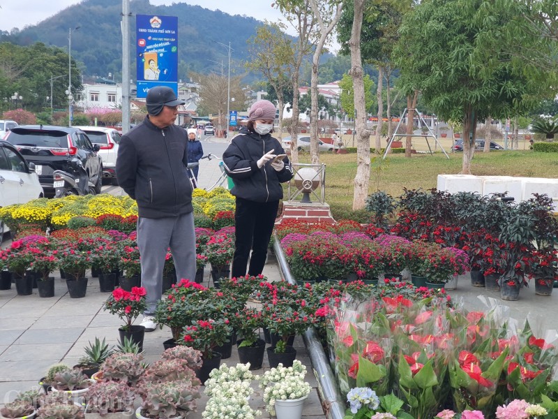 Những chậu hoa tươi, những cây đào không chỉ tô điểm thêm sắc xuân những ngày Tết, mà còn tạo không khí vui tươi, ấm áp, xua tan đi những mệt nhọc của một năm lao động vất vả