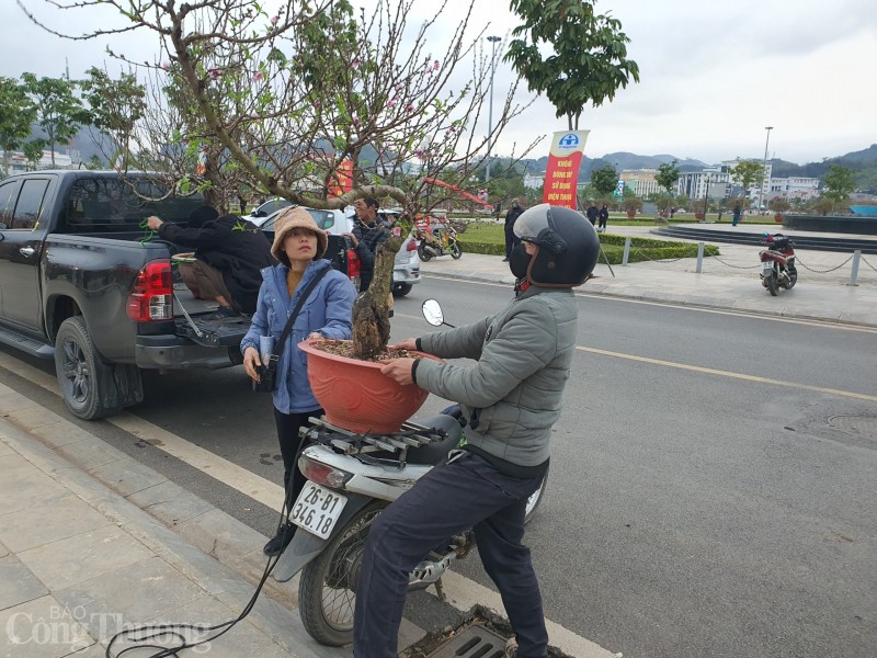 Rộn ràng chợ hoa Xuân giữa lòng thành phố Sơn La