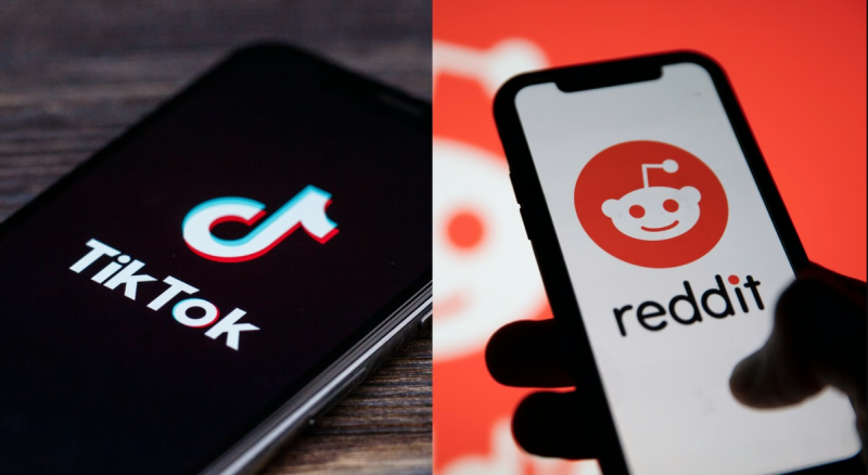 TikTok và Reddit có thể là nền tảng trực tuyến được tìm kiếm nhiều nhất?