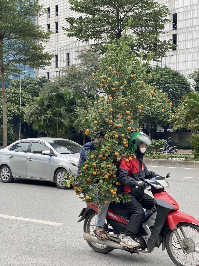 Hà Nội: Xe ôm “chở Tết về nhà” đút túi tiền triệu mỗi ngày