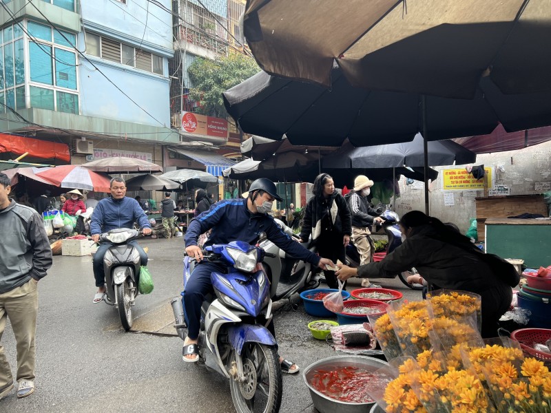 Thị trường cá chép đỏ sôi động, giá cao hơn năm ngoái