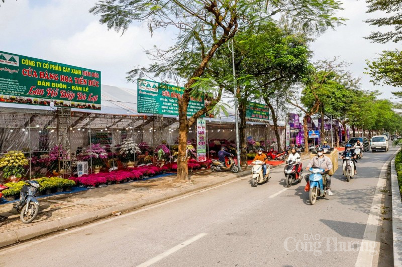 Lan hồ điệp ngập phố ngày cận Tết, giá bán mỗi chậu hàng chục triệu đồng