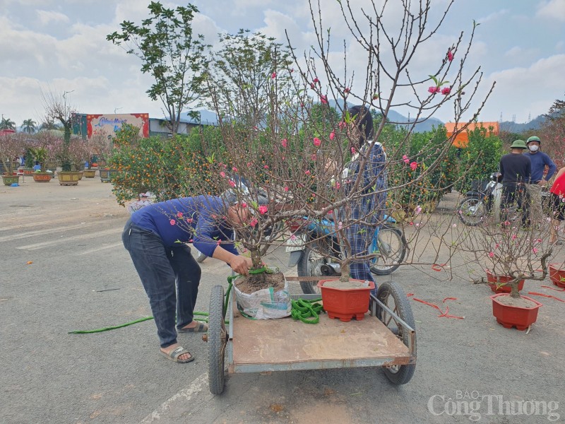 Quảng trường Hòa Bình rực rỡ sắc hoa mừng Đảng, mừng Xuân