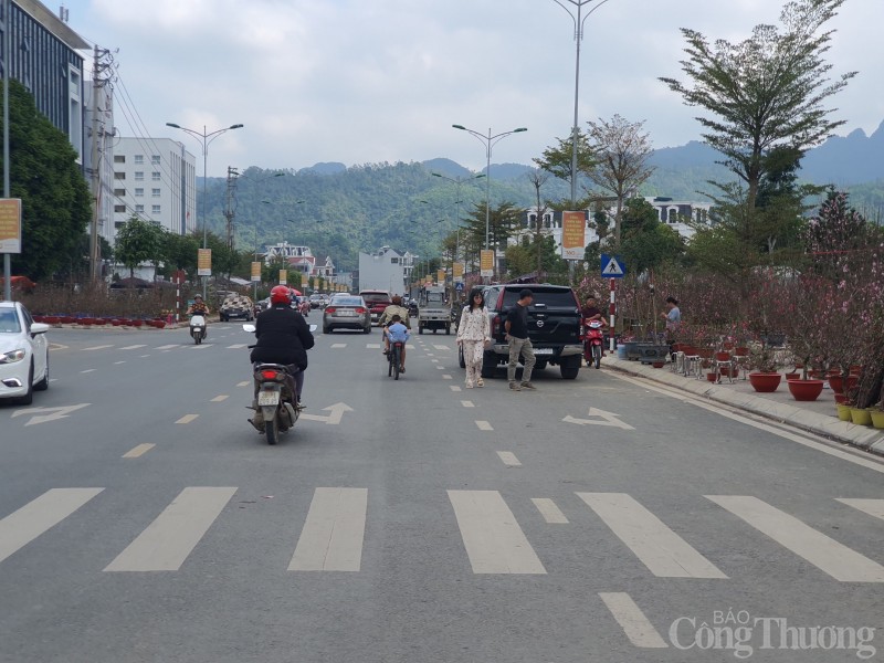 Quảng trường Hòa Bình rực rỡ sắc hoa mừng Đảng, mừng Xuân Quảng trường Hòa Bình rực rỡ sắc hoa mừng Đảng, mừng Xuân