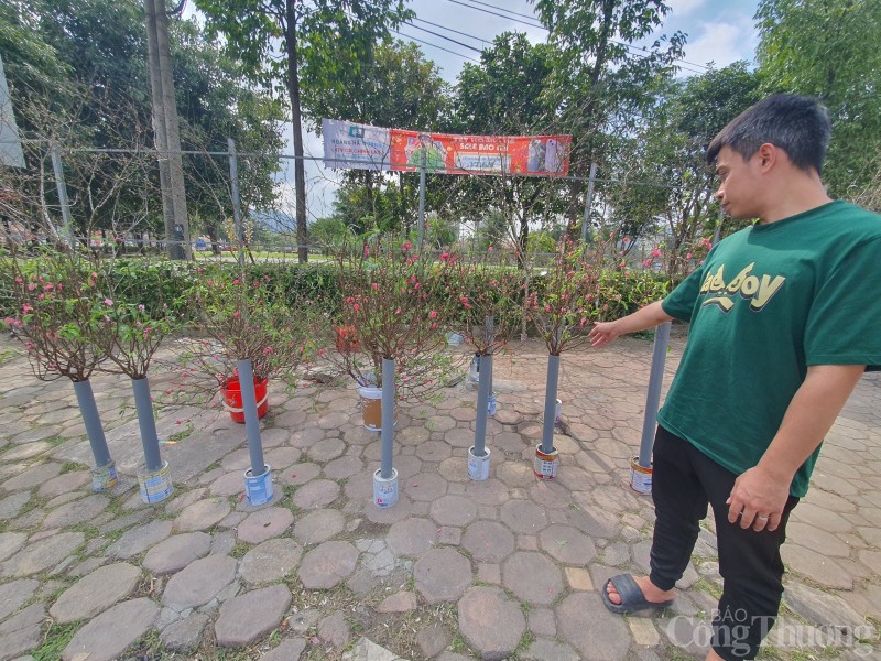 Quảng trường Hòa Bình rực rỡ sắc hoa mừng Đảng, mừng Xuân