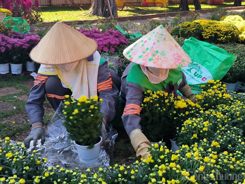 Tạo hình rồng thời Lý ở Hội hoa xuân TP. Vũng Tàu