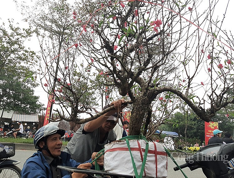 Người dân Thủ đô nô nức đến chợ, mang Xuân về nhà