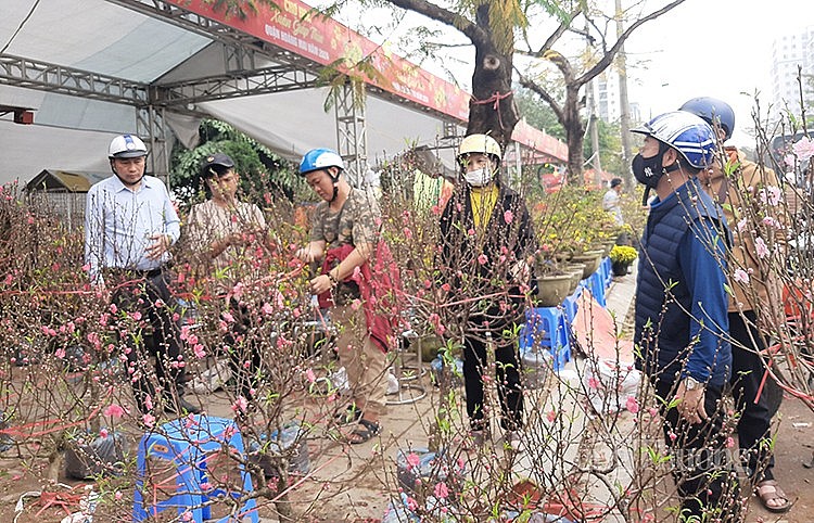 Chợ hoa Xuân Giáp Thìn 2024 (quận Hoàng Mai) có quy mô hơn 300 gian hàng với nhiều loại hoa và cây cảnh từ các địa phương trong và ngoài quận.