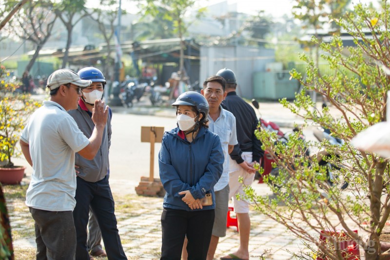 Đà Nẵng: Chợ hoa Xuân bắt đầu nhộn nhịp