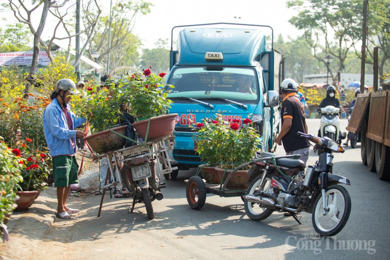 Đà Nẵng: Chợ hoa Xuân bắt đầu nhộn nhịp