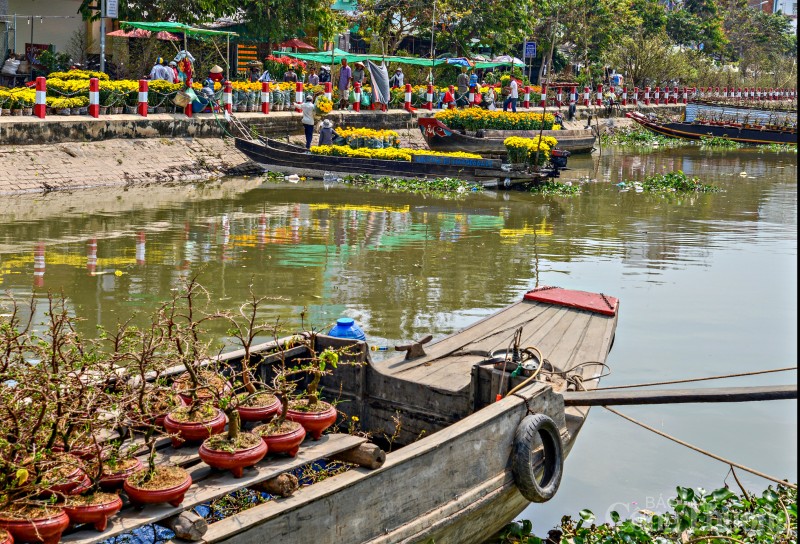 Cần Thơ rực rỡ sắc màu hoa Tết