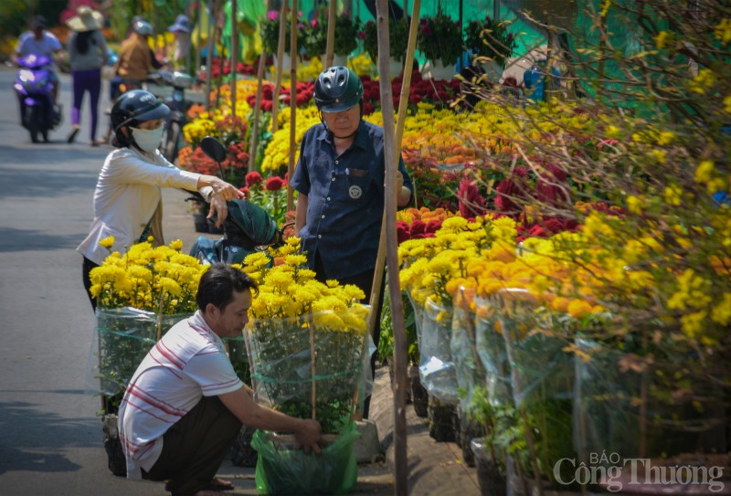 Cần Thơ rực rỡ sắc màu hoa Tết