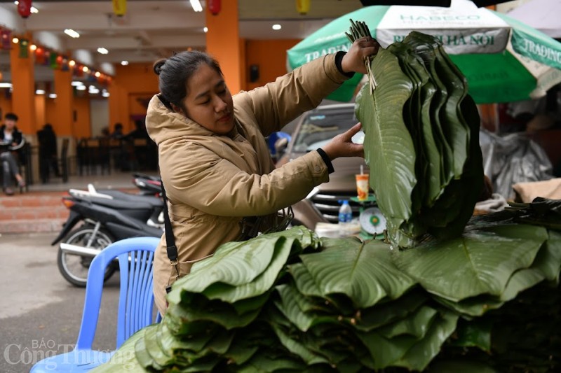 Chợ lá dong lâu đời nhất Hà Nội nhộn nhịp ngày cận Tết