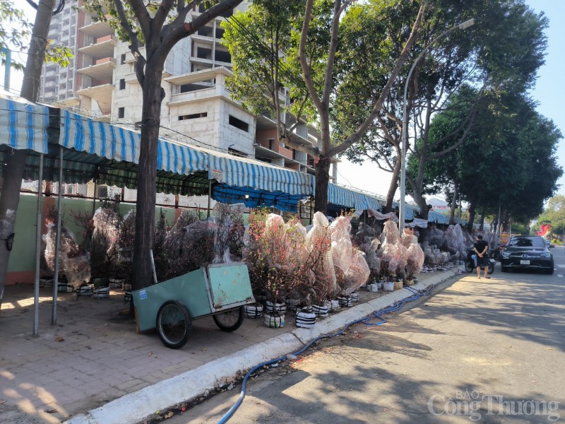 Bà Rịa - Vũng Tàu: Hoa Tết năm nay tiêu thụ chậm