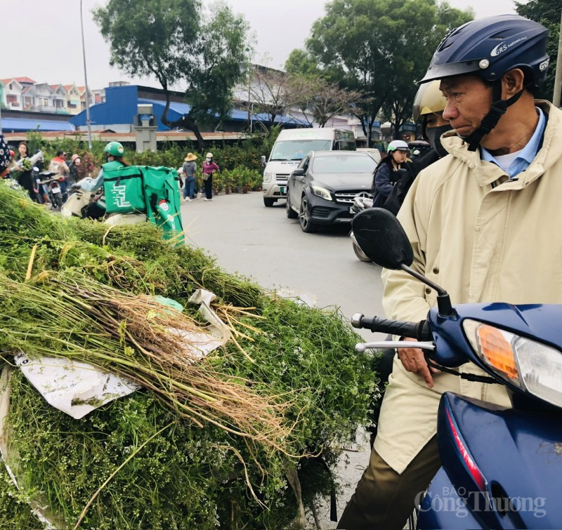 Mùi Tết – nỗi nhớ dịu dàng