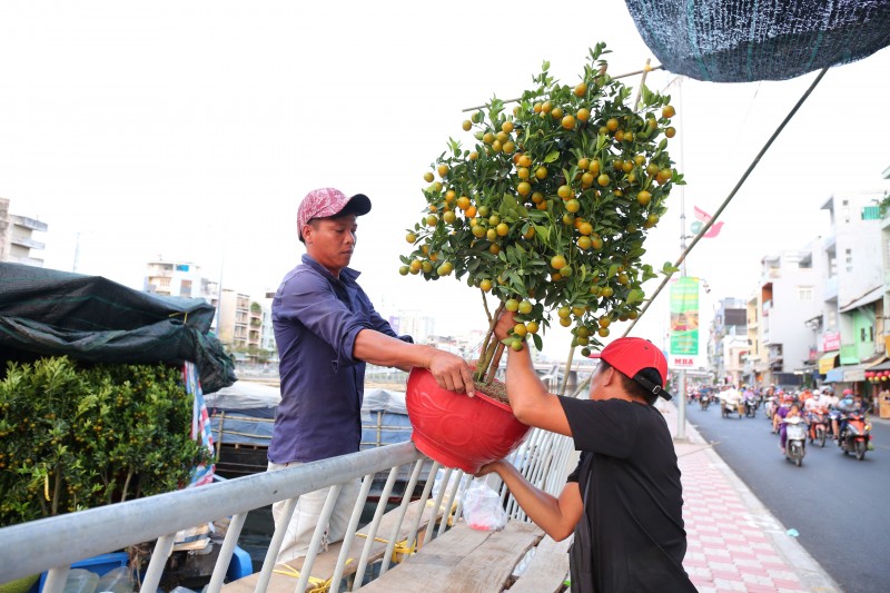 Rực rỡ sắc xuân trên những đường hoa Tết tại TP. Hồ Chí Minh