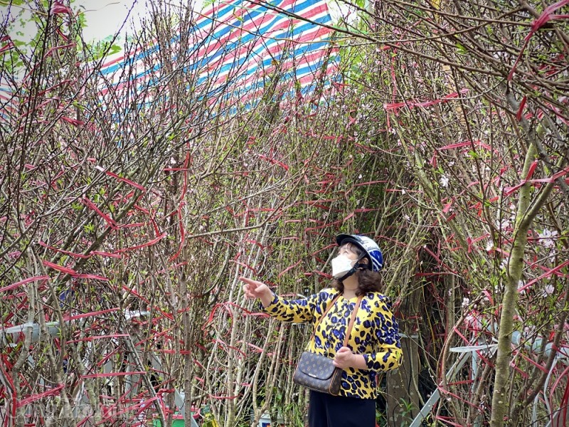 Chợ hoa Tết tấp nập người mua, tiểu thương phấn khởi